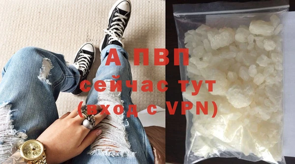 гашик Осташков