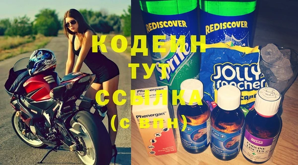 гашик Осташков