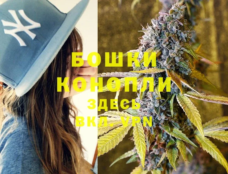 Бошки Шишки SATIVA & INDICA  Западная Двина 